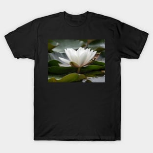 White Water Lily T-Shirt